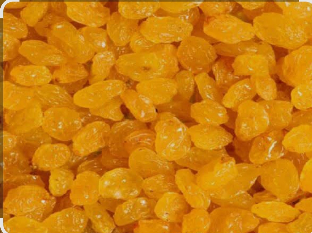 IMG ۲۰۲۶۰۲۰۹ ۲۳۲۴۲۷